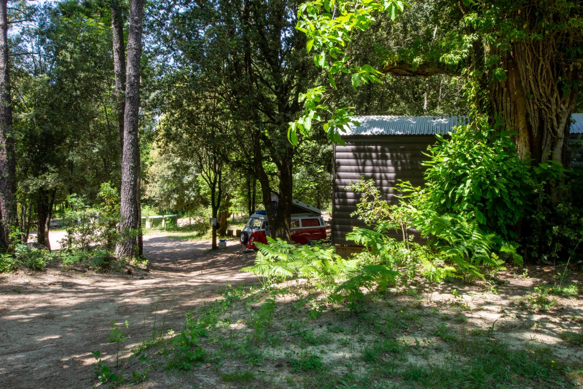 Emplacement ombragé pour tente au Camping Bavella Vista à Zonza, entouré de maquis corse